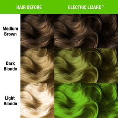 Electric Lizard®- Classic High Voltage®- 8oz