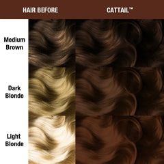 Cattail®
