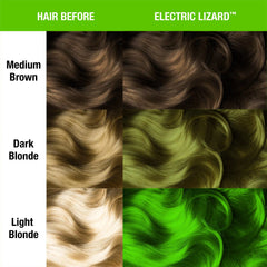 Electric Lizard®
