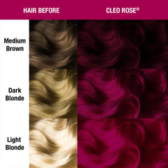 Cleo Rose®