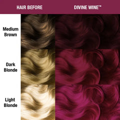 Divine Wine®