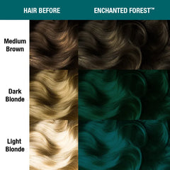 Enchanted Forest®